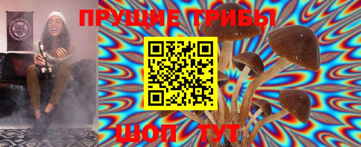 Псилоцибиновые грибы Magic Shrooms  Псилоцибиновые грибы ЛСД  Вход с VPN  Димитровград 